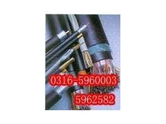 特種電纜應用指南 從硅橡膠到氟塑料，解鎖工業核心連接方案